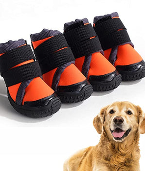 Dog Shoes - Orange