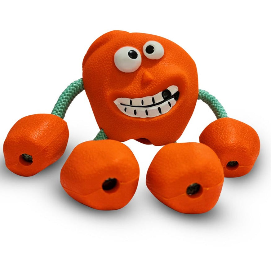 Sqyeaky Dog toy 