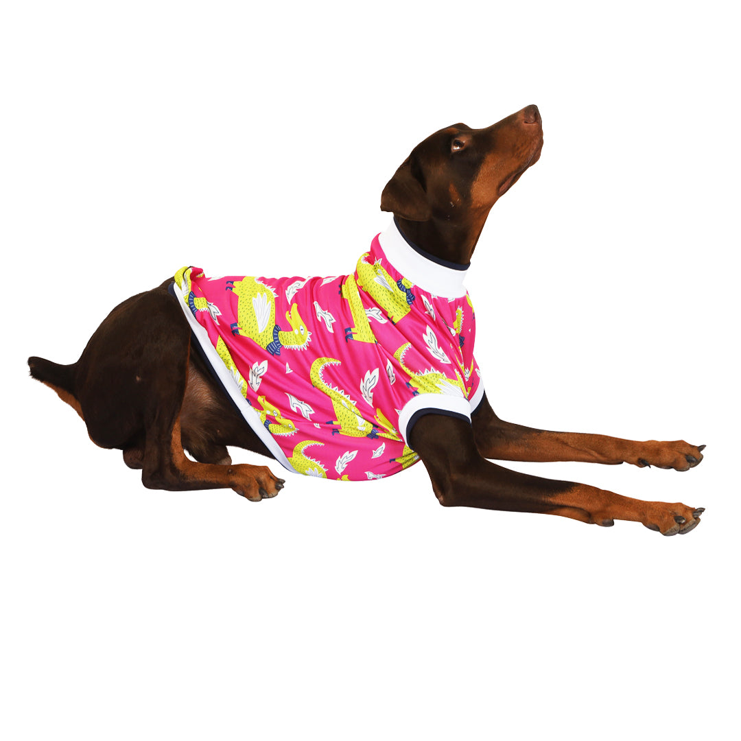 Dracarys Dog Tee- pink
