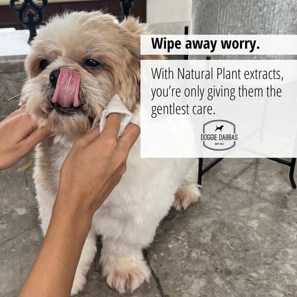 Pet Wet Wipes(30 Wipes)