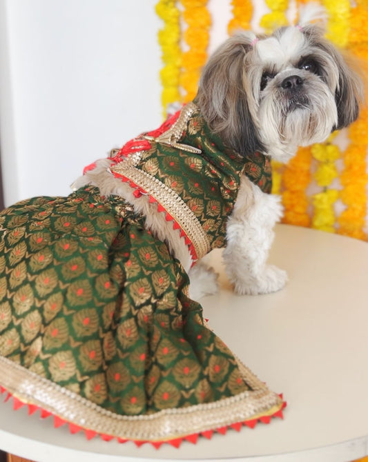 Green Brocade Lehenga