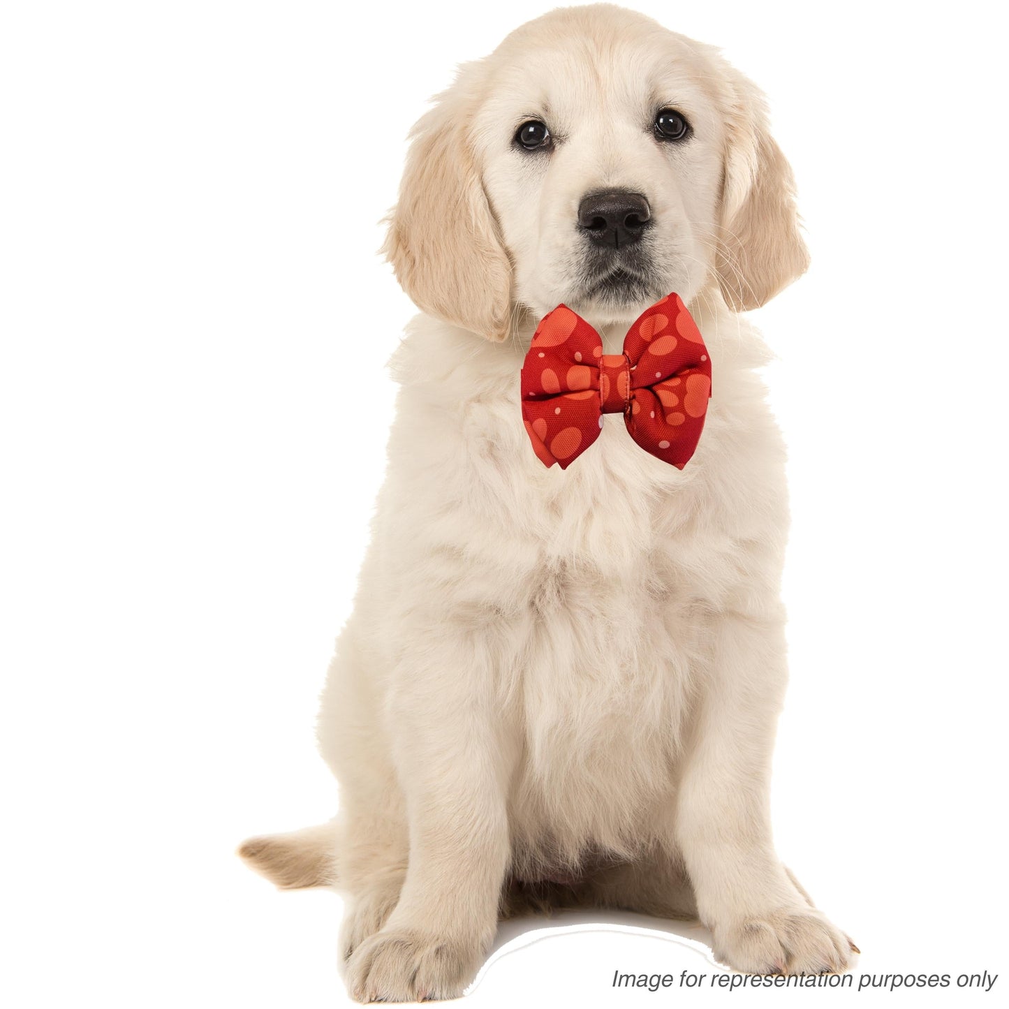 Red Paws Print Bow Tie | Snap-Buckle Closure | D-Ring Attachment