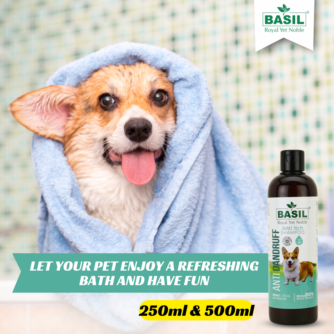 BASIL Anti-Dandruff Anti-Itch Shampoo for Dogs and Puppies