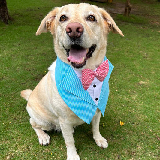 Aqua Stripe Tuxedo Vest Bandana