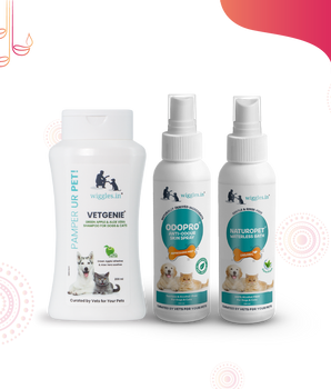 Tyohaar Taiyyar - Grooming Kit (Vetgenie Shampoo, Odopro Fragrance & Naturopet Dry Shampoo)