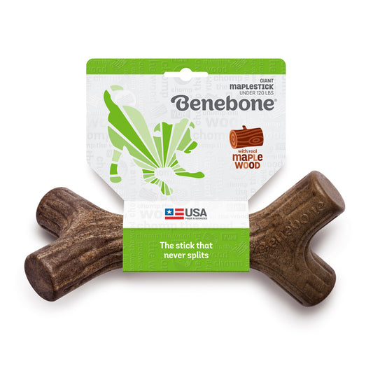 Benebone's Maplestick Stick Durable Dog Chew ( Maple Wood Flavor)