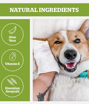 BASIL Daily Wipes, All Purpose Pet Grooming Wet Wipes - 80 Wipes