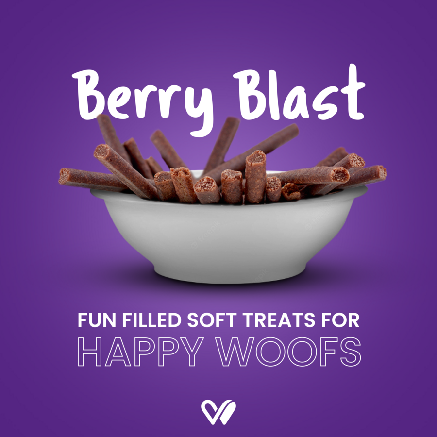 Barkstix Dog Treats for Training Adult & Puppies, 100g (Berry Blast)