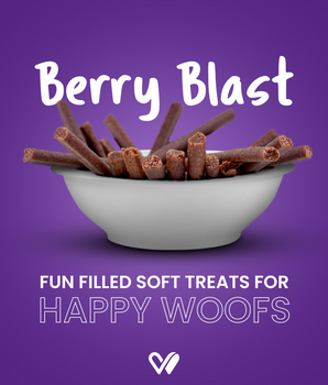 Barkstix Dog Treats for Training Adult & Puppies, 100g (Berry Blast)