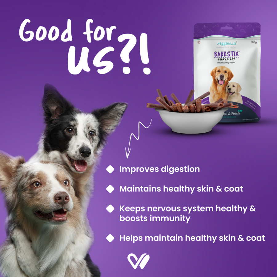 Barkstix Dog Treats for Training Adult & Puppies, 100g (Berry Blast)