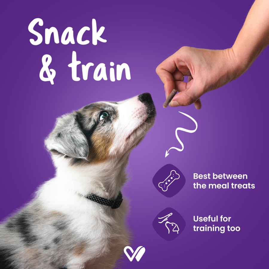 Barkstix Dog Treats for Training Adult & Puppies, 100g (Berry Blast)