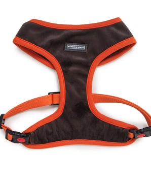 front side of harness and leash for dogs