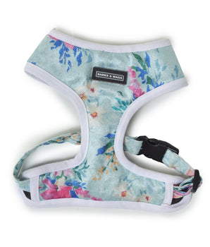 buy online harness and leash for dogs