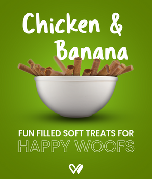 Barkstix Dog Treats for Training Adult & Puppies, 100g (Chicken & Banana)