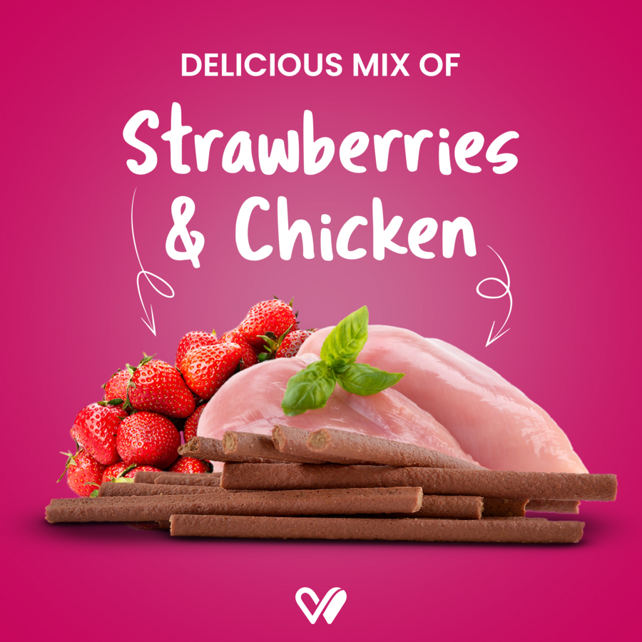 Barkstix Dog Treats for Training Adult & Puppies, 100g (Chicken & Strawberry)