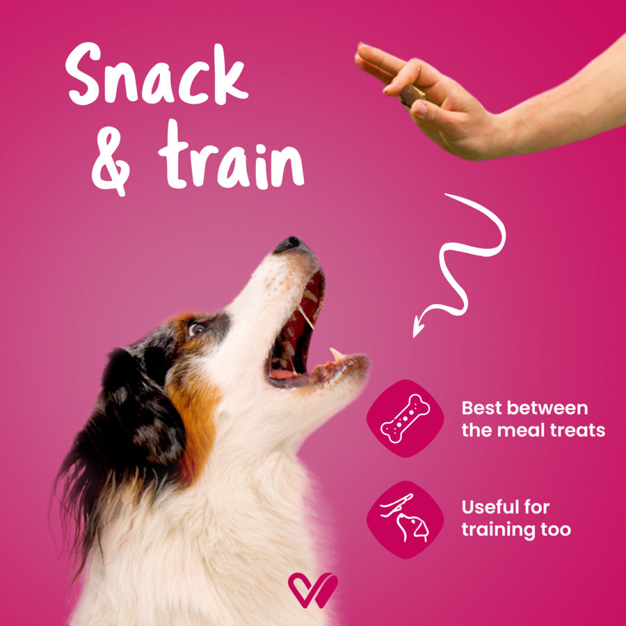 Barkstix Dog Treats for Training Adult & Puppies, 100g (Chicken & Strawberry)