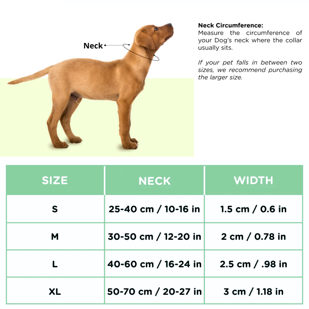 BASIL Zig-Zag Padded Adjustable Collar for Dogs & Puppies (Red)