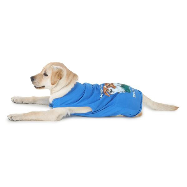 cute dog wearing blue-coloured sleeveless t-shirt