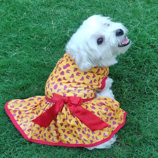 cute dog wearing butterfly print dress by Barks & Wags