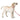 cute dog wearing macramé square leash designed by Barks & Wags
