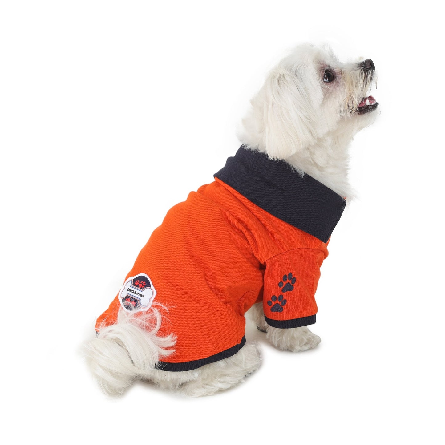 cute dog wearing orange-coloured polo t-shirt designed by Barks & Wags