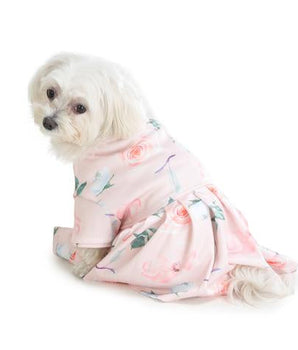 cute dog wearing pink dress by Barks & Wags