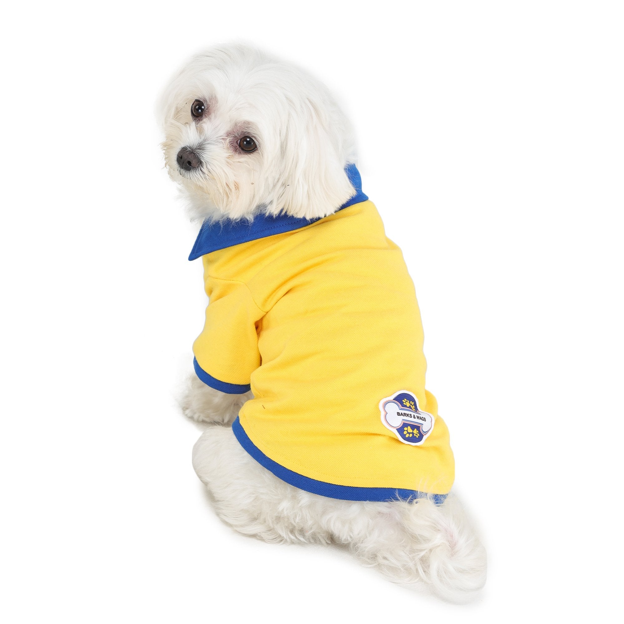 cute dog wearing yellow-coloured polo t-shirt designed by Barks & Wags