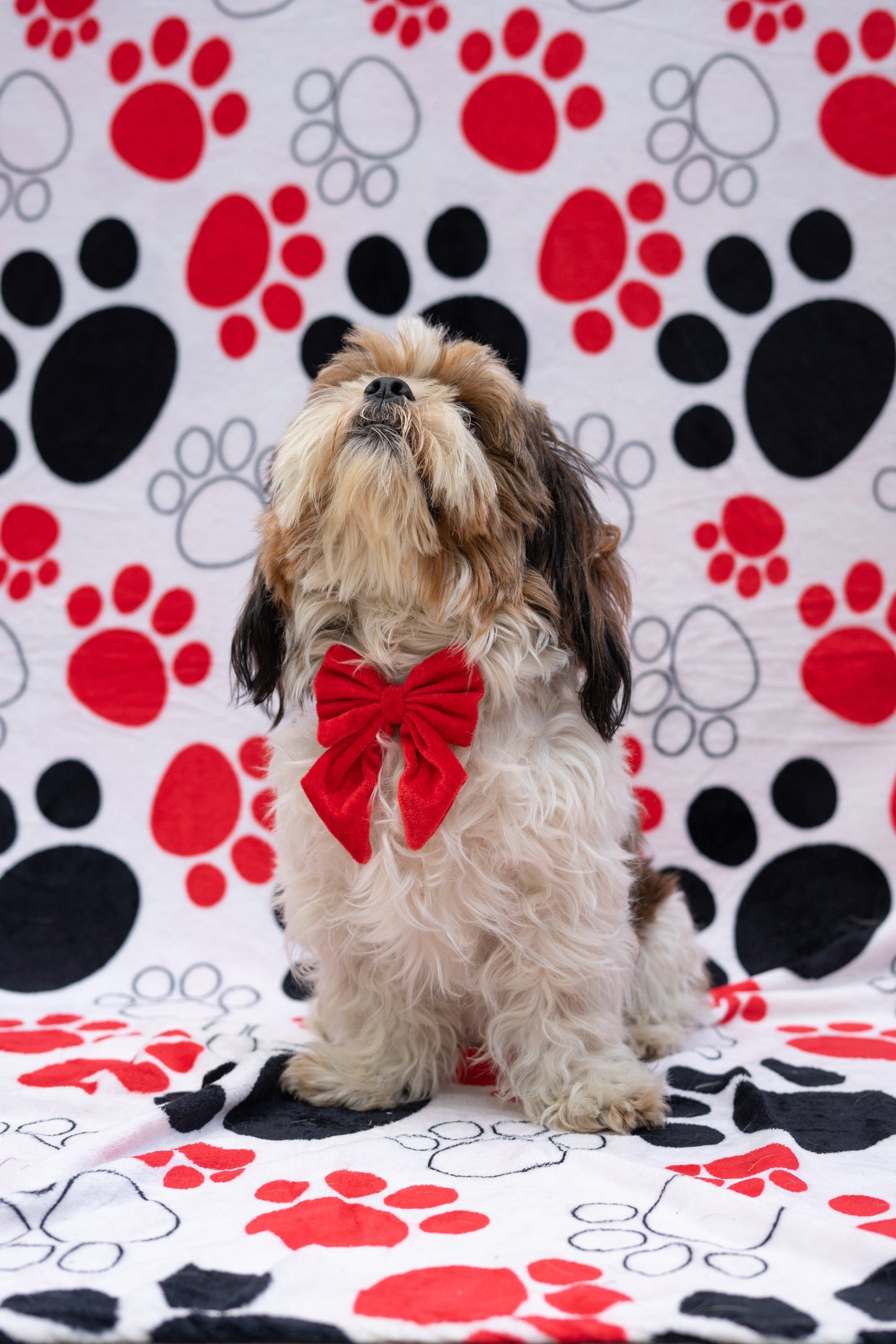 Pigtail Bowtie: Red