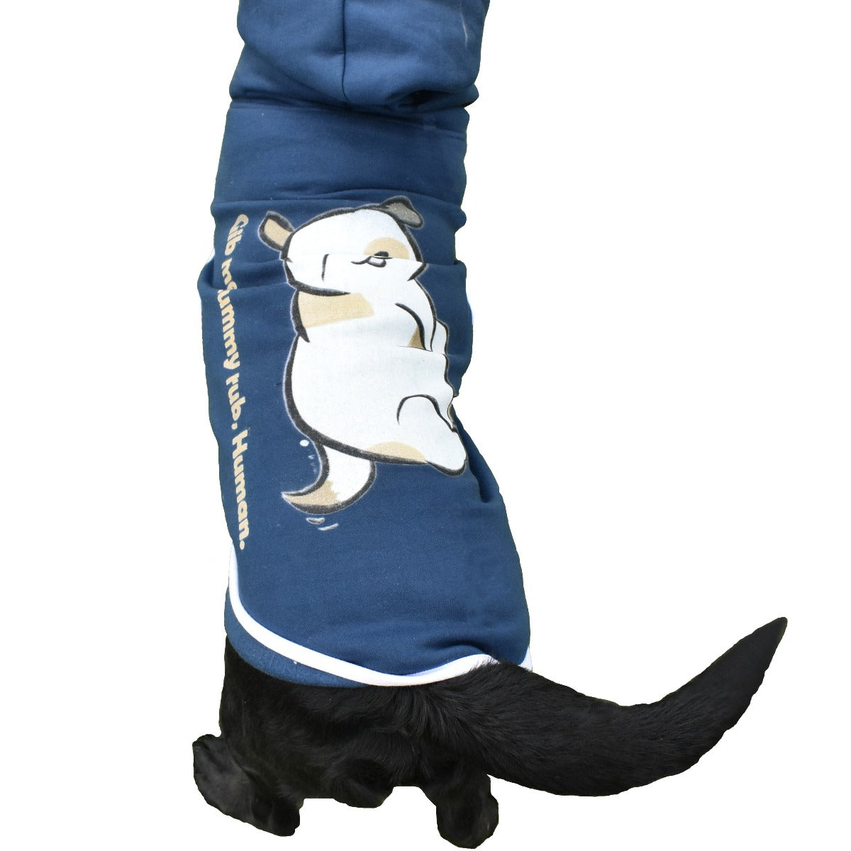 Dog Hoodie (Gib Me A Tummy Rub, Hooman!)