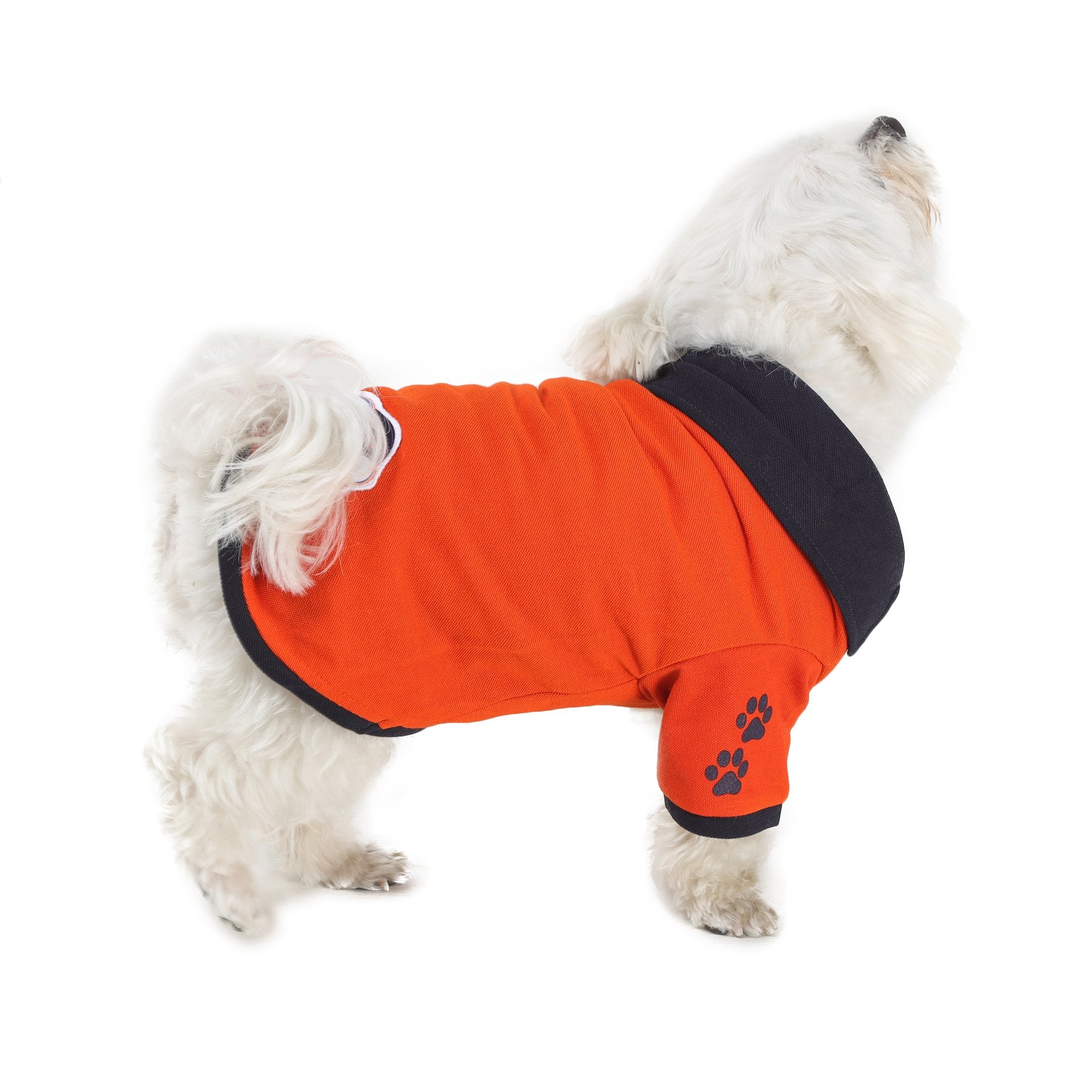 dog wearing orange-coloured polo t-shirt from Barks & Wags