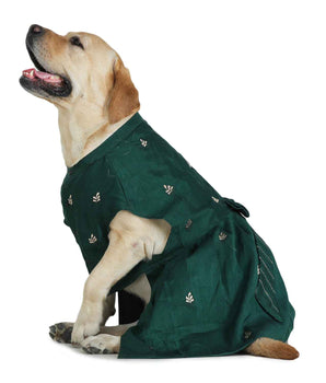 Dog Lehenga
