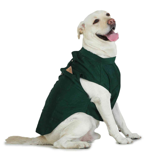 Green Dog Sherwani
