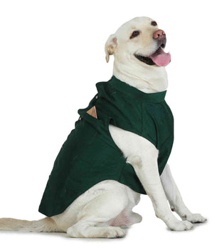 Green Dog Sherwani