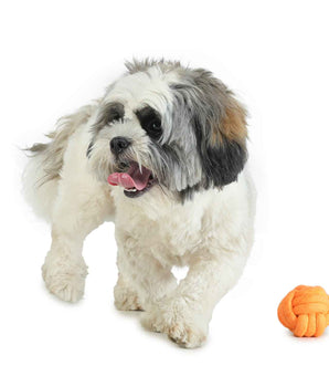 Dog Toy - Pet Teether Ball