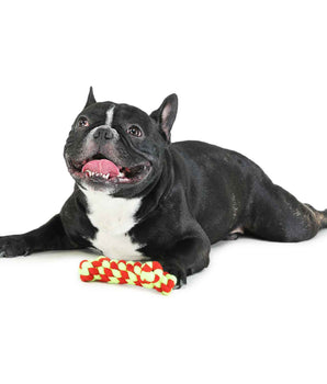 Dog Toy - Chew Bone Teether