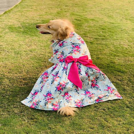 floral dress for dogs by Barks & Wags