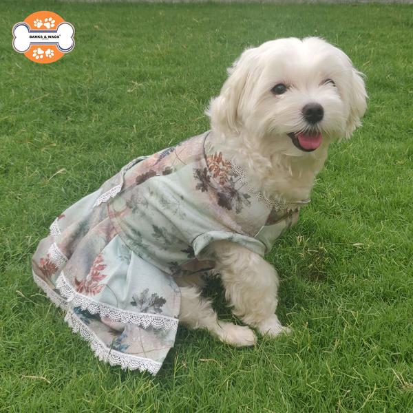Beautiful Dresses For Dogs