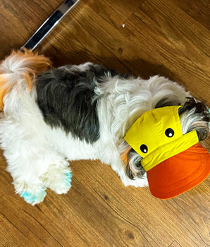 Duckie Cap