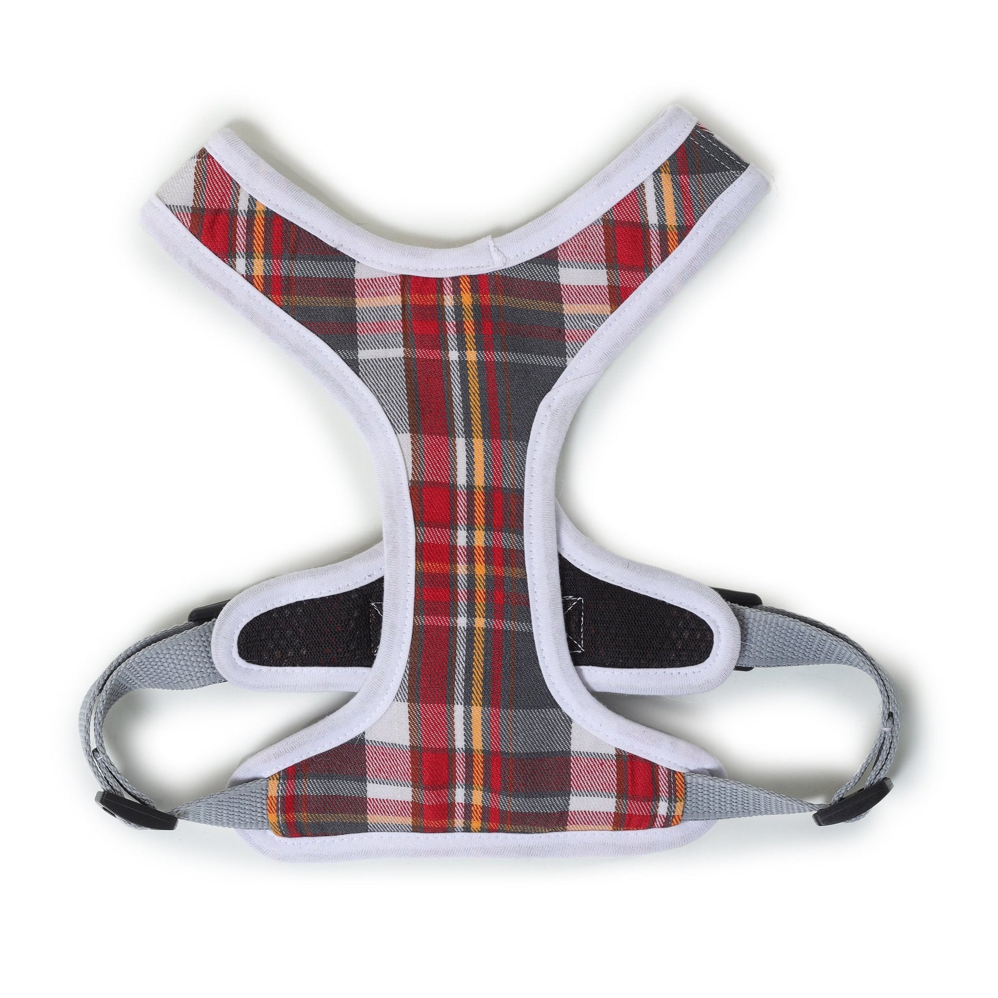 front side of dog harness and leash