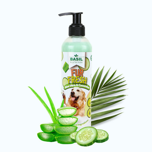 BASIL Fur Fresh Aloe Vera & Cucumber Vegan Shampoo for Dogs, 300ml