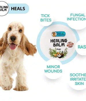 100% Natural Healing Balm for Dog, 30gms