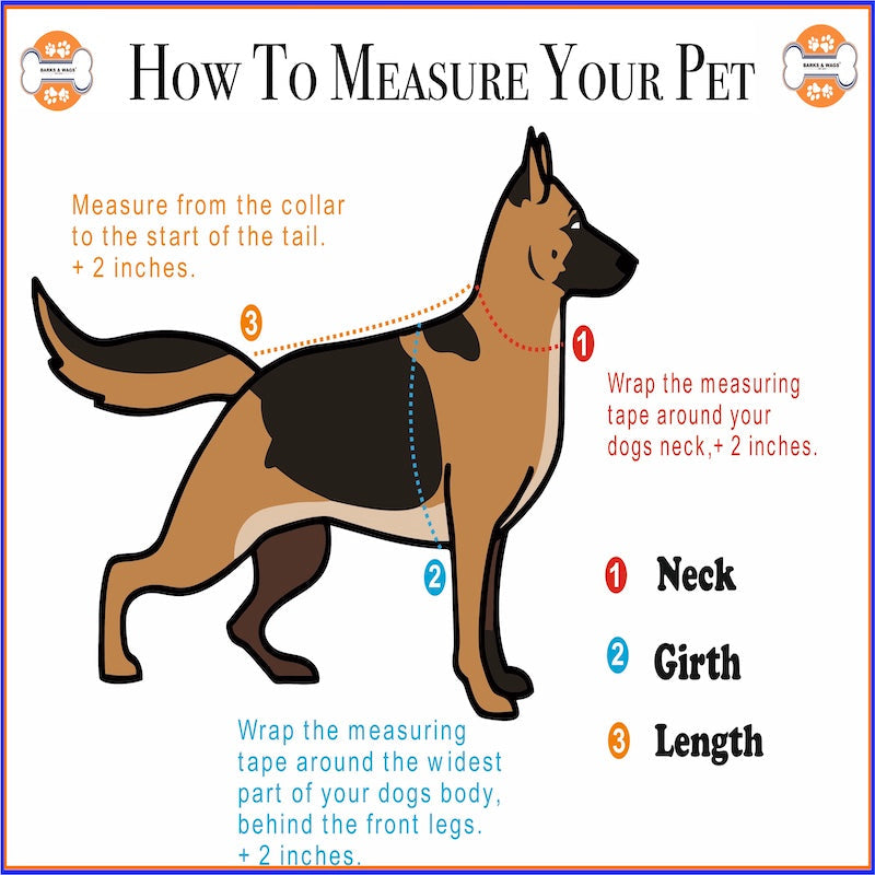 Raincoats For Dogs