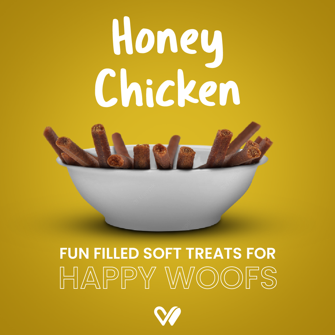 Barkstix Dog Treats for Training Adult & Puppies, 100g (Honey Chicken)