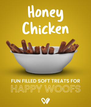 Barkstix Dog Treats for Training Adult & Puppies, 100g (Honey Chicken)