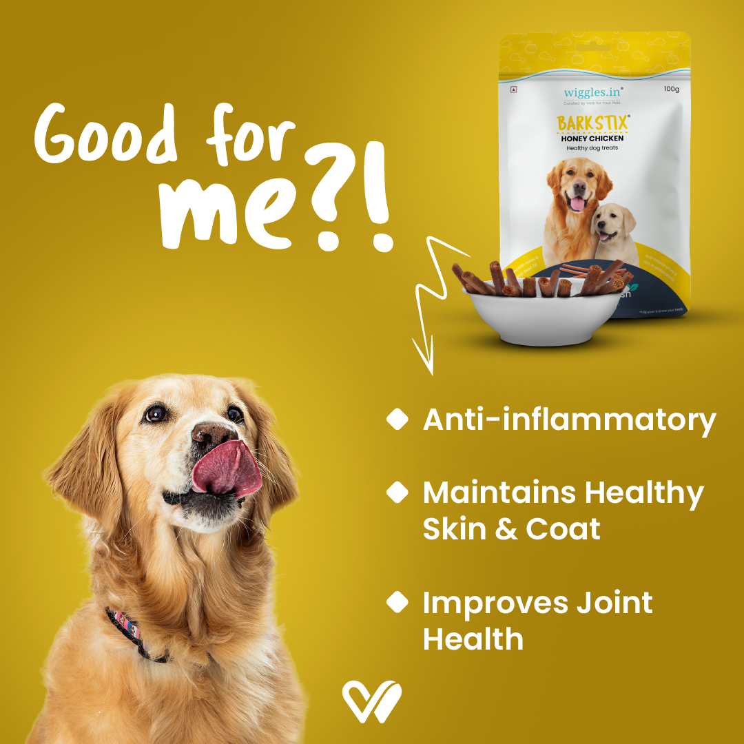 Barkstix Dog Treats for Training Adult & Puppies, 100g (Honey Chicken)