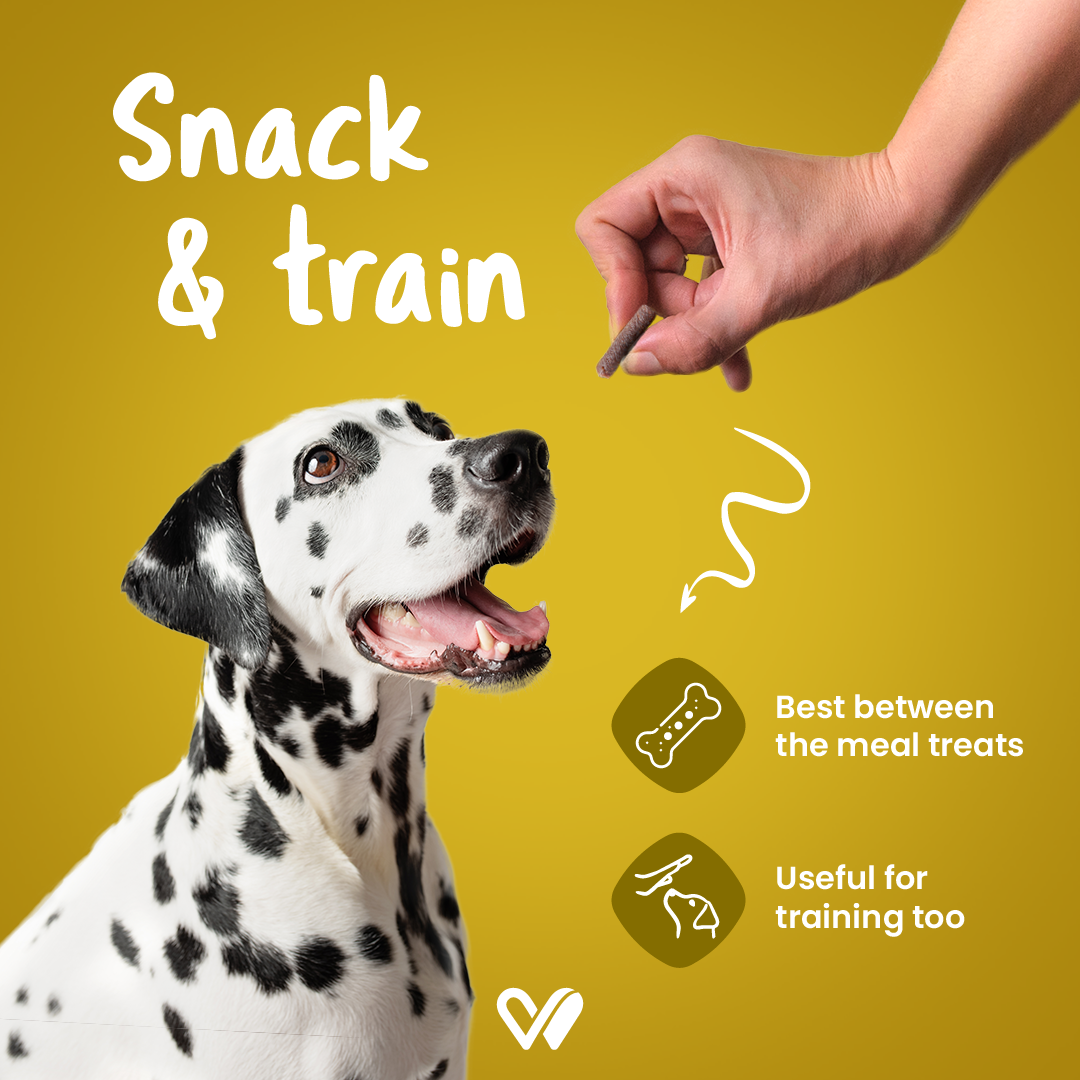 Barkstix Dog Treats for Training Adult & Puppies, 100g (Honey Chicken)