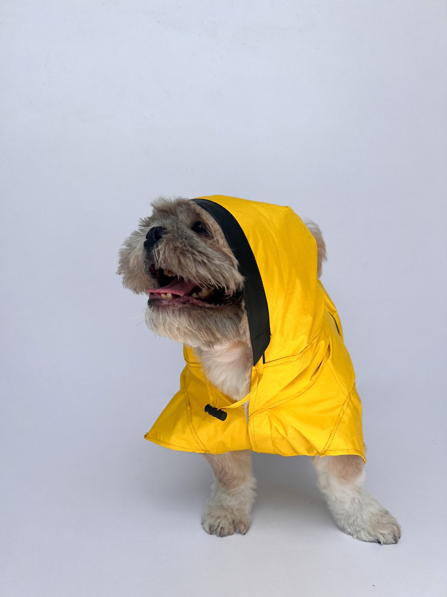 Raincoat: Yellow (Taxi)
