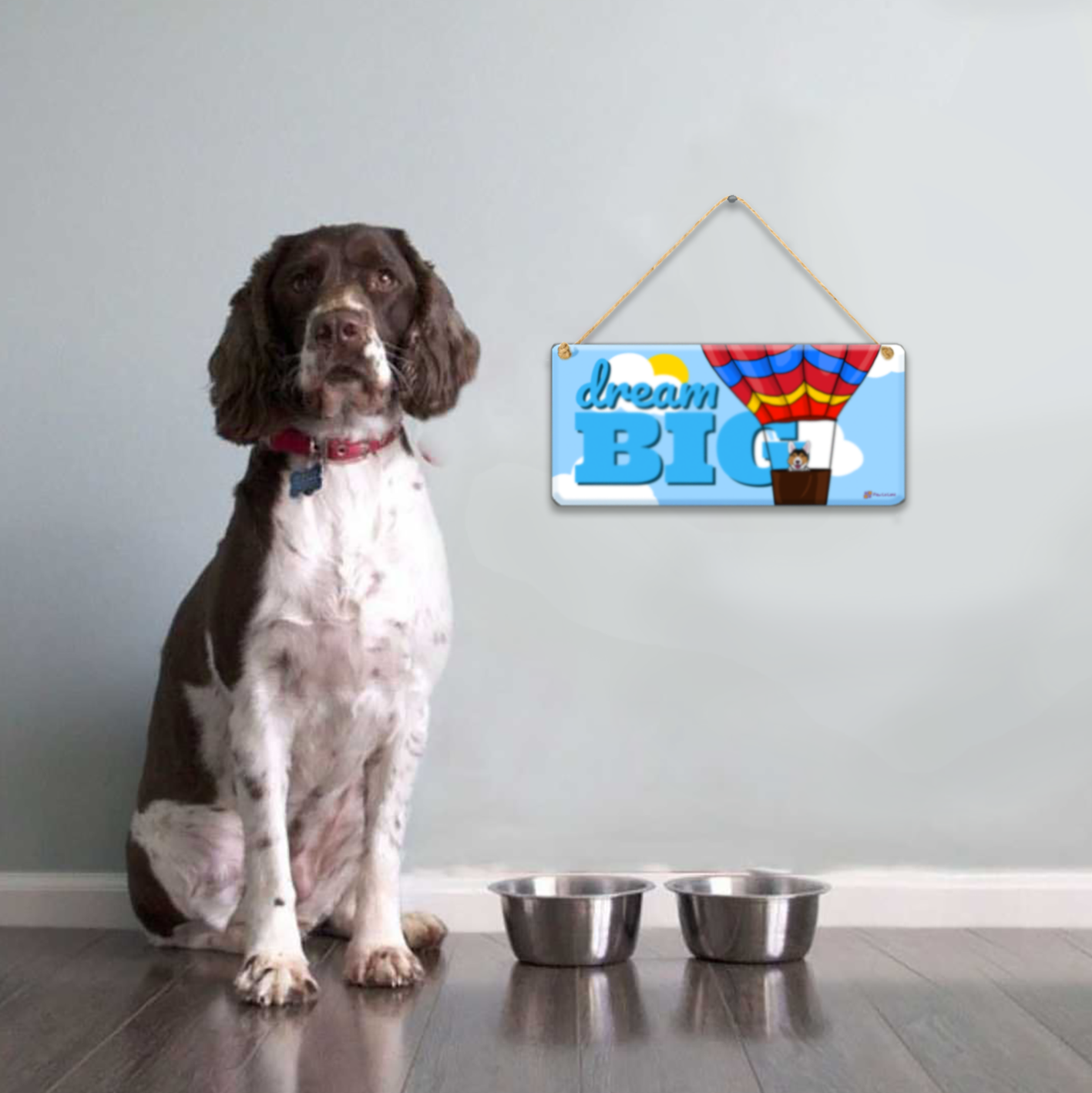 Dream Big Wall/Door Hanging