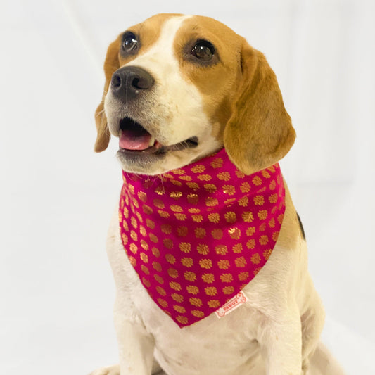 Occasion wear bandana Pink