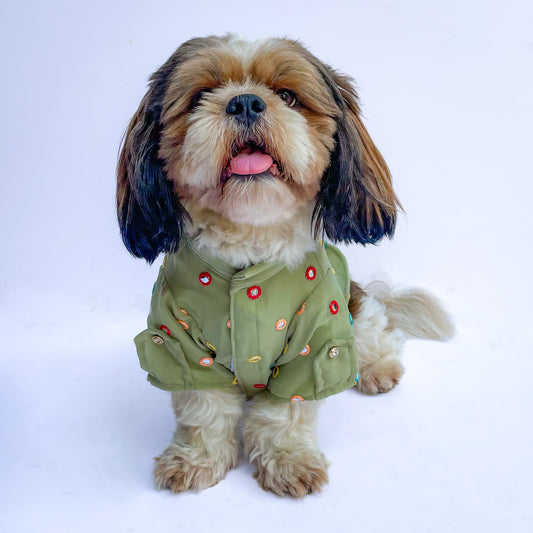 Festive Shirt Pista Green